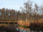 Engbertsdijksvenen